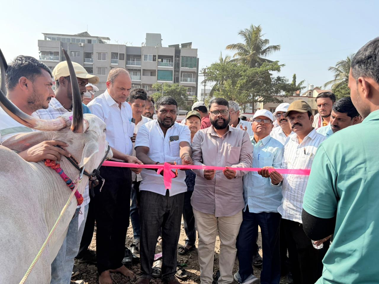कराडला शेतकऱ्यांच्या 'दौलती'चा उत्सव 